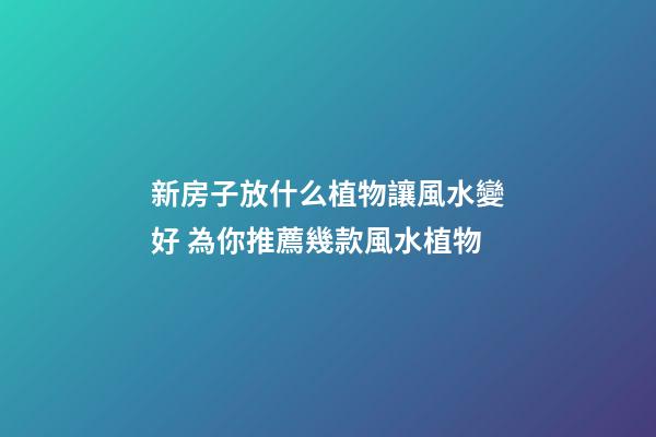 新房子放什么植物讓風水變好 為你推薦幾款風水植物